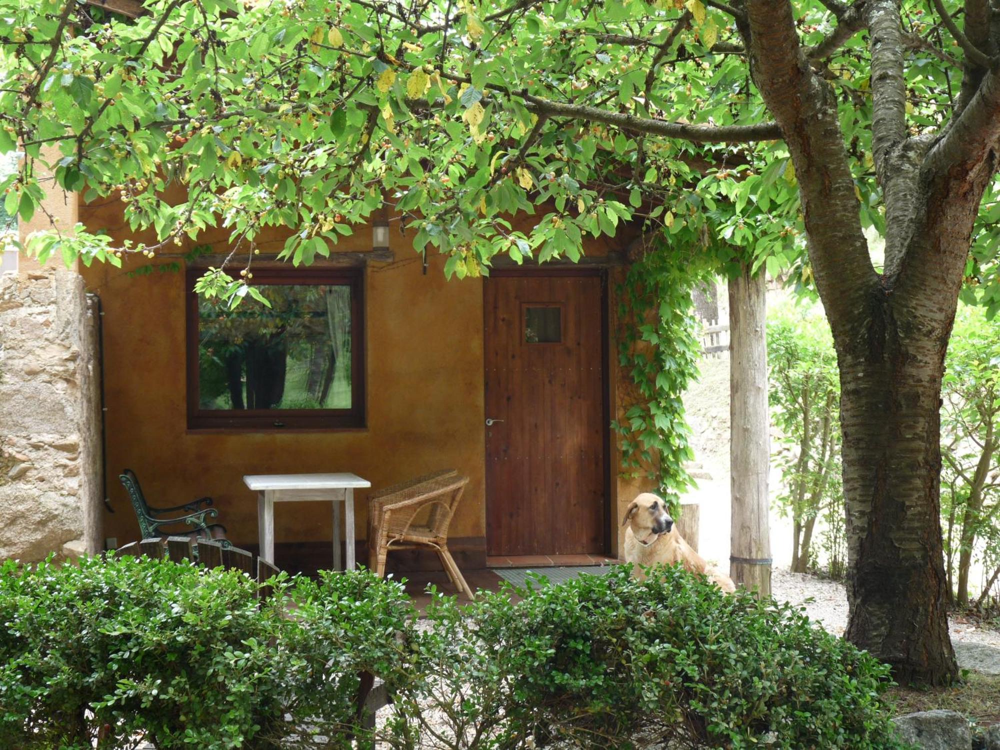 Masia El Moli De Can Aulet Arbucies Exterior photo