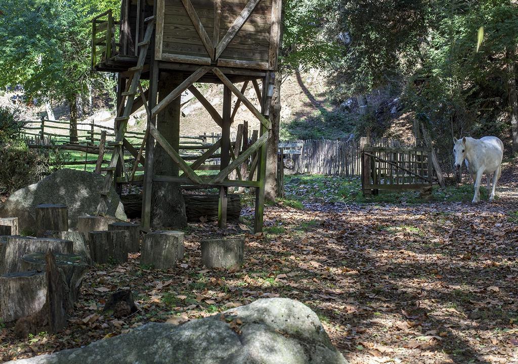 Masia El Moli De Can Aulet Arbucies Exterior photo